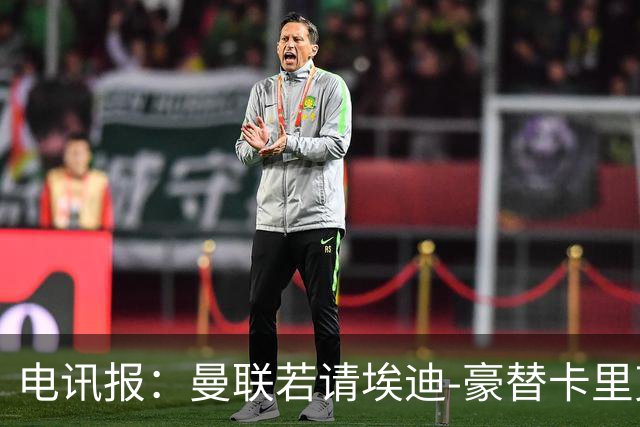 电讯报:曼联若请埃迪-豪替卡里克,需向纽卡支付最多600万镑