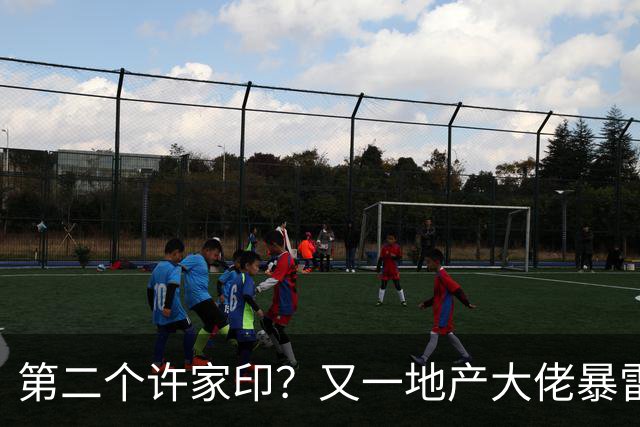 第二个许家印？又一地产大佬暴雷，涉案超200亿，现已被立案调查
